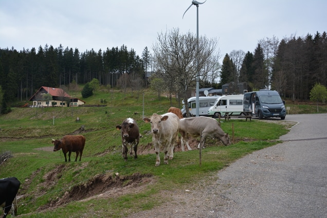 Sainte Marie-aux-Mines: zwischen Himmel und Erde