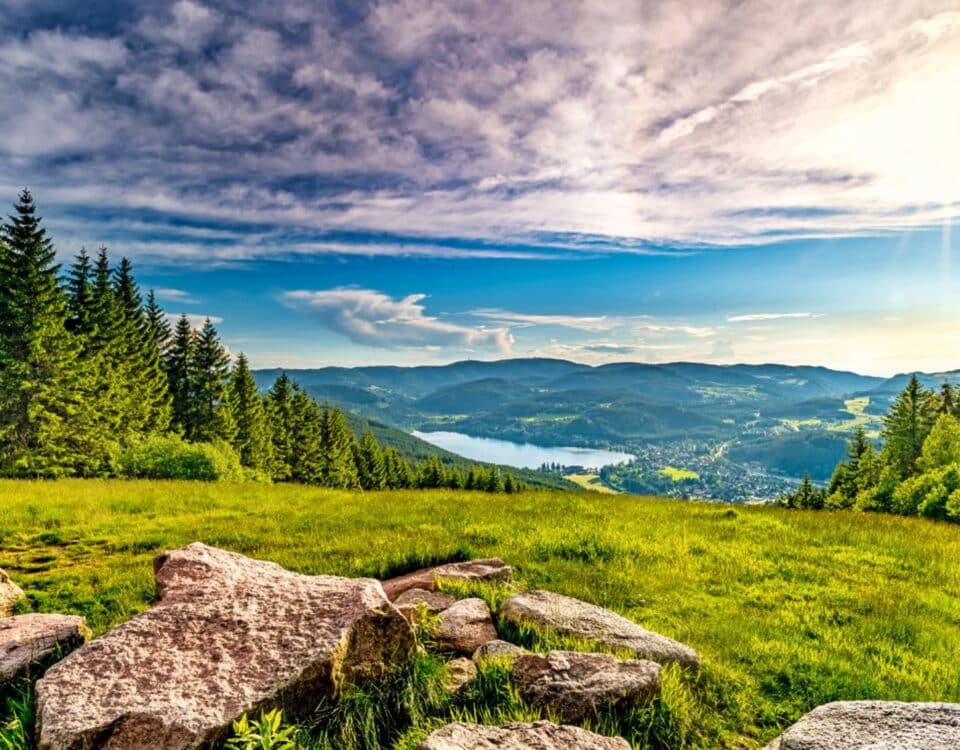 Hochfirst im Südschwarzwald