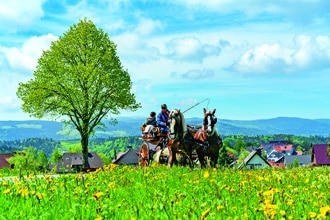 Kutschfahrt St. Märgen