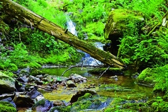 Todtmoos: Wandern, Wunder, Wasserfälle