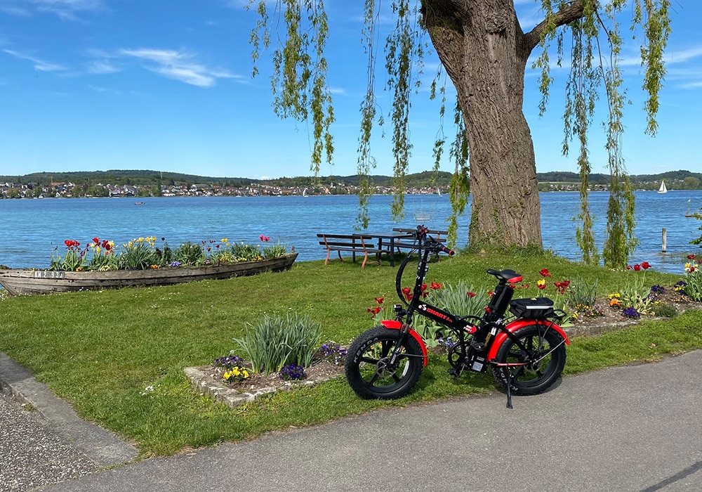 E-Bike steht an einer Wiese am Bodensee auf der Insel Reichenau.